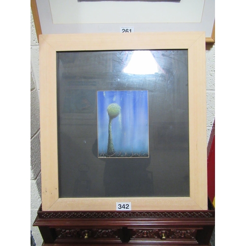 342 - Coloured print. Print 22cm x 28cm.