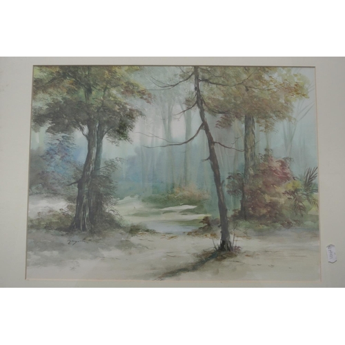 130 - An original framed watercolour painting of a forest scene.

Untitled.

Measures 53x43cm.

Signed by ... 