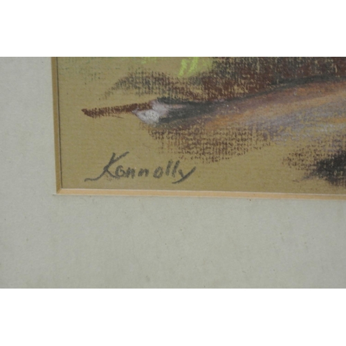 134 - An original framed pastel drawing by Irish Artist, Jackie Connolly.

Titled 'North Donegal'.

Measur... 