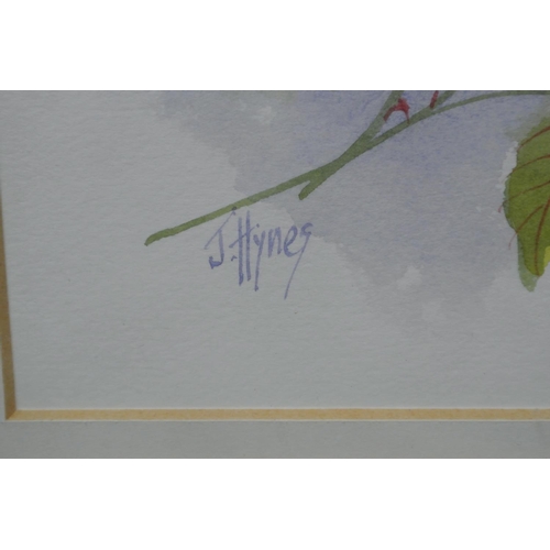 145 - An original framed watercolour painting by Irish Artist, Joe Hynes.

Untitled.

Measures 36x28cm.

S... 