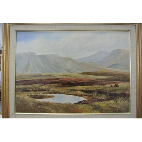 84 - An original framed oil on canvas painting by Irish Artist, D Dale.

Titled 'Connemara'.

Measures 68... 