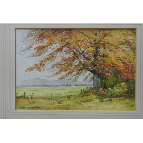 85 - An original framed Watercolour painting by Aylmer E Armstrong.

Titled 'Beech Trees in Autumn'.

Mea... 