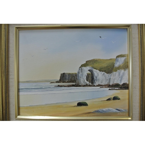 86 - An original framed oil on board painting by Irish Artist, D Dale.

Titled 'White Rocks, Co Antrim'. ... 