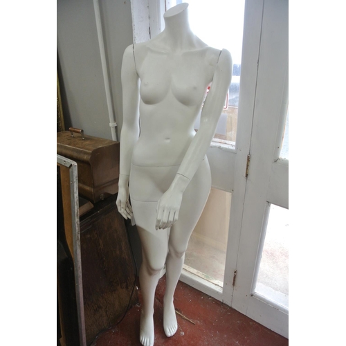 327 - A female mannequin.