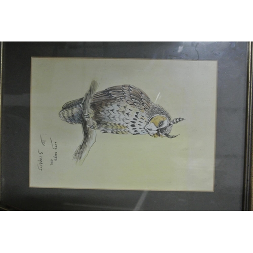 222 - A Large Lot of Framed Pictures and Prints