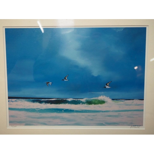 369 - A limited edition framed print, numbered & signed by the Artist, T McNulty, 14/150.