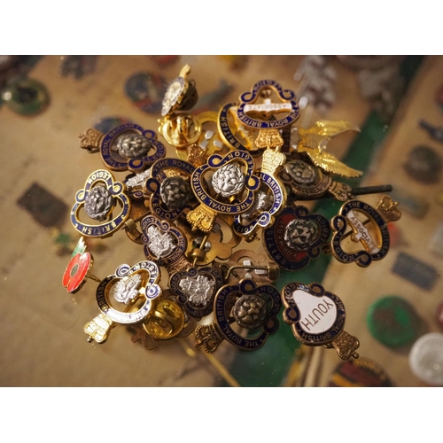 167 - A large collection of vintage enamel British Legion pins etc.