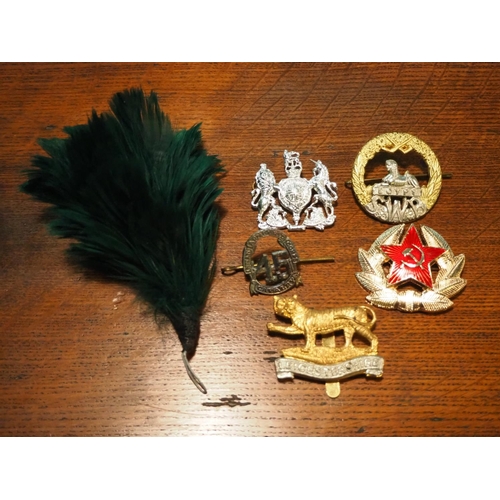 211 - A collection of 5 Military cap badges & a feather plume.