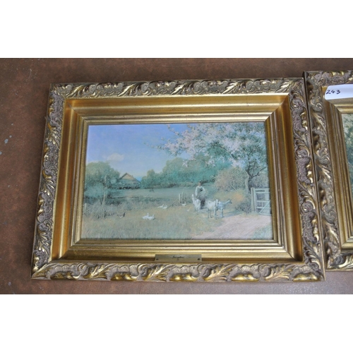 243 - A pair of decoratively framed prints.