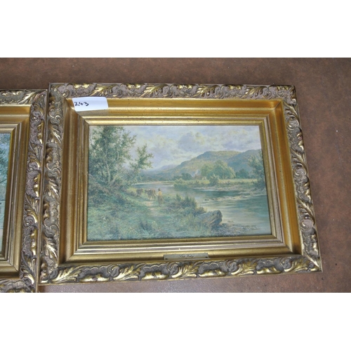 243 - A pair of decoratively framed prints.