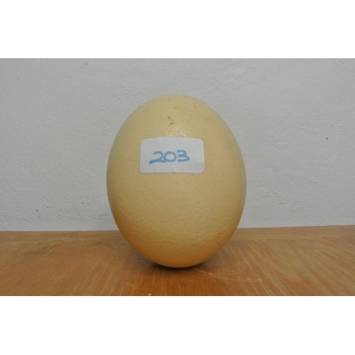 203 - A hand painted Ostrich egg