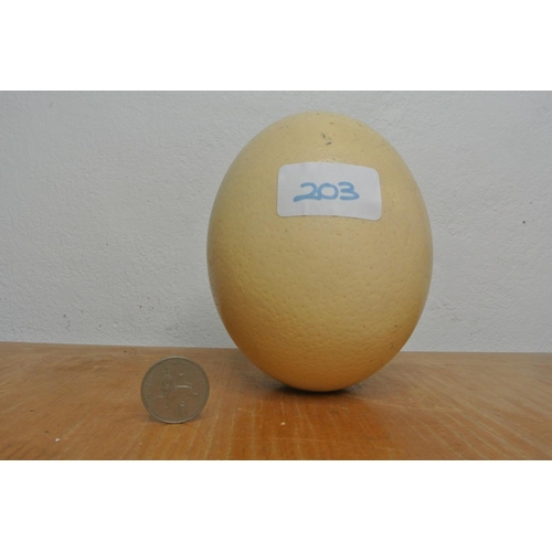 203 - A hand painted Ostrich egg