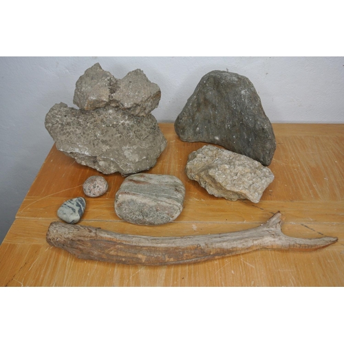 326 - A collection of unusual fossils, natural minerals and rocks