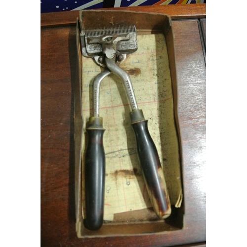 500 - A pair of Warwick clippers in original card box.