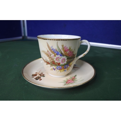 671 - A stunning antique Victorian Royal Worcestershire hand painted cup & saucer.