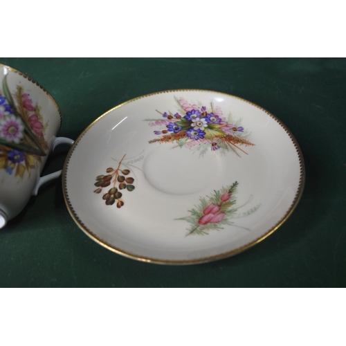 671 - A stunning antique Victorian Royal Worcestershire hand painted cup & saucer.