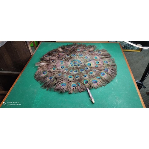 119 - A large vintage peacock feather fan.