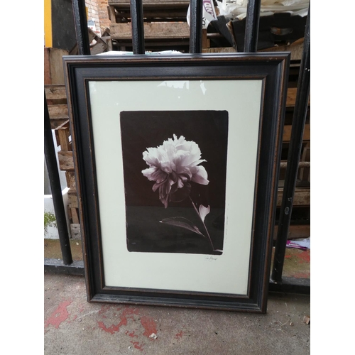 115 - A large framed floral print, signed by the Artist.