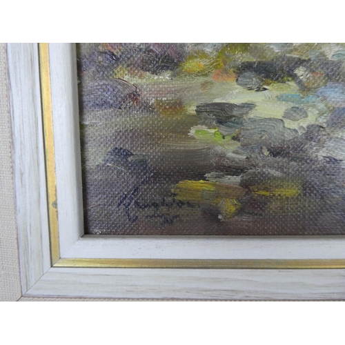 111 - A framed oil painting 'Lough Muck, Connemara' by Irish artist Wilfred Haughton size 18