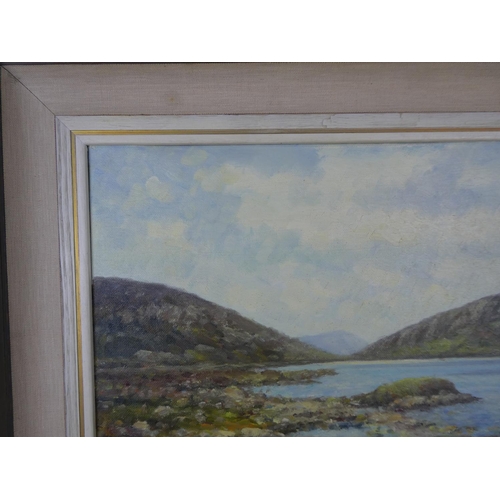 111 - A framed oil painting 'Lough Muck, Connemara' by Irish artist Wilfred Haughton size 18