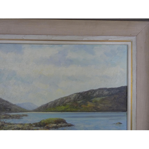 111 - A framed oil painting 'Lough Muck, Connemara' by Irish artist Wilfred Haughton size 18
