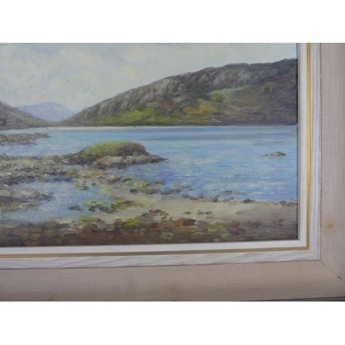111 - A framed oil painting 'Lough Muck, Connemara' by Irish artist Wilfred Haughton size 18