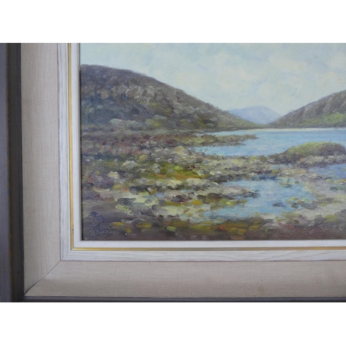 111 - A framed oil painting 'Lough Muck, Connemara' by Irish artist Wilfred Haughton size 18