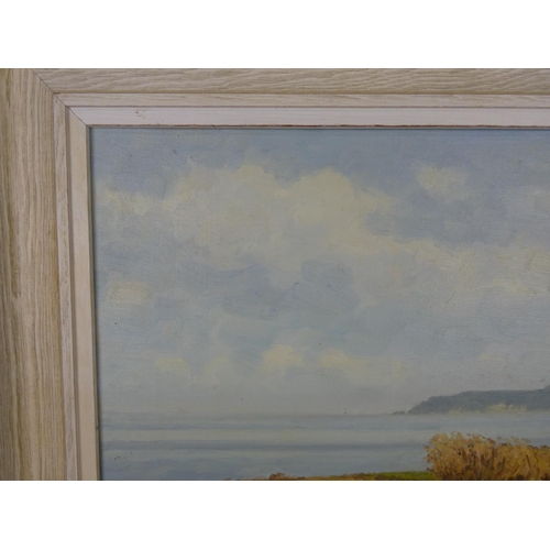 112 - A framed oil painting 'Rathlin Island' on a misty morning' by Irish artist Wilfred Haughton size 18