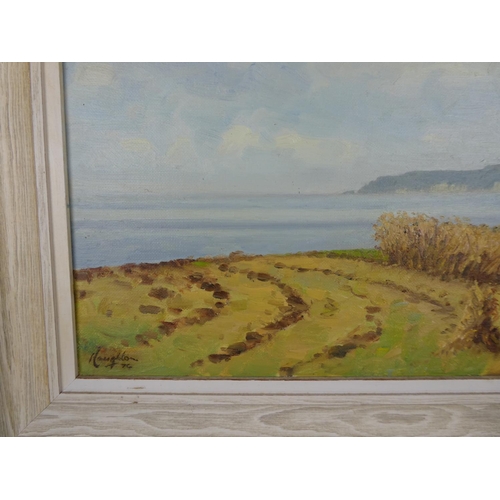 112 - A framed oil painting 'Rathlin Island' on a misty morning' by Irish artist Wilfred Haughton size 18