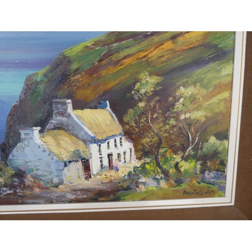 114 - A stunning oil painting 'Dunaff Head, Donegal' by Irish artist  Anne Tallentine size 24