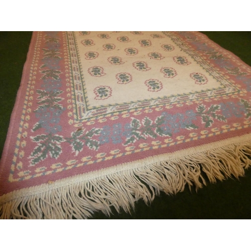 219 - A decorative floor rug.