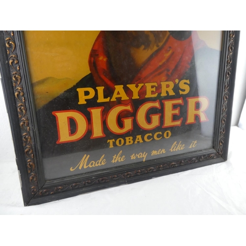 252 - A large framed 'Player's Digger Tobacco' advertising print.