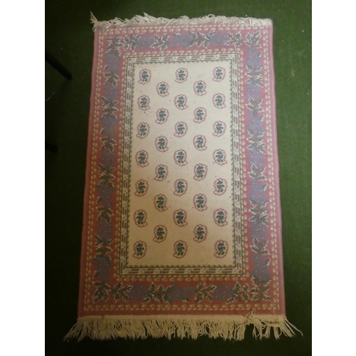 219 - A decorative floor rug.