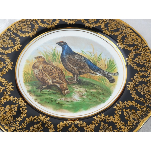67 - A set of two Arklow pottery wall plates.