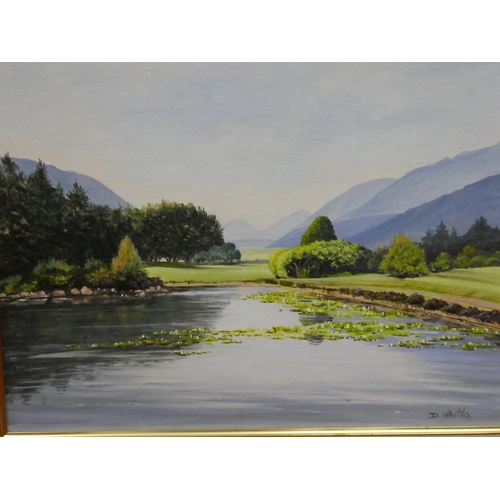 177 - A stunning oil painting, 'The Silent Valley' by D Whitla.