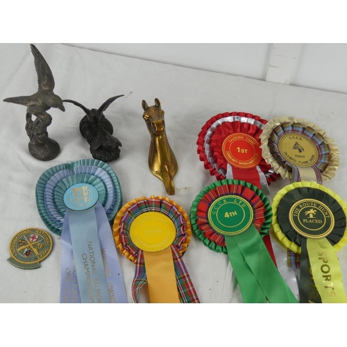 80 - A brass horse head clothes hook and an assortment of various Rosette's & badges etc and more.