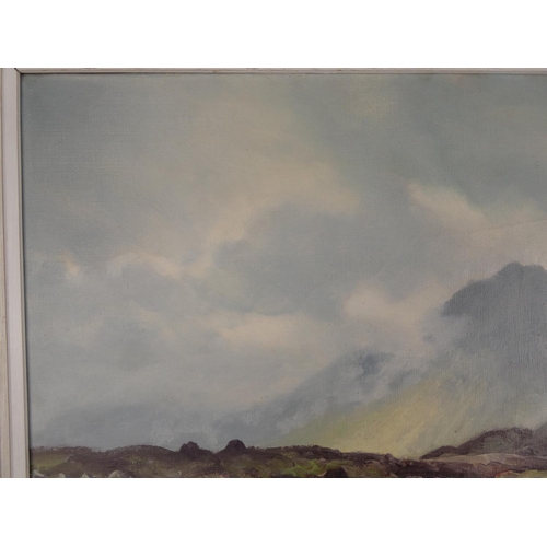 456 - A stunning framed early oil painting 'Mount Errigal, near Gortnahork, Co Donegal' signed W H Burns, ... 