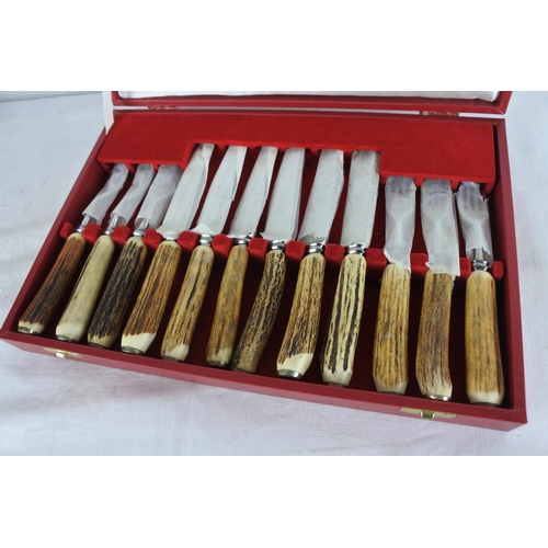 512 - A stunning boxed set of Cooper Brothers bone handled style dinner knives and forks.