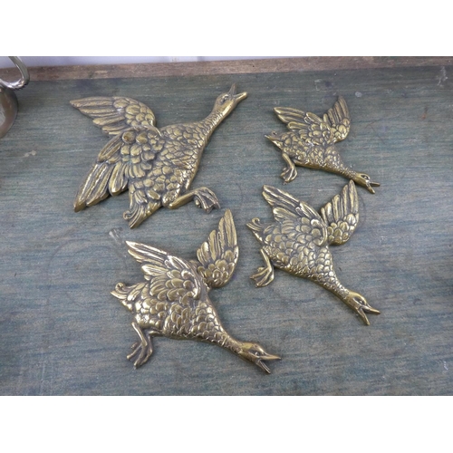 578 - A set of four large brass flying geese.