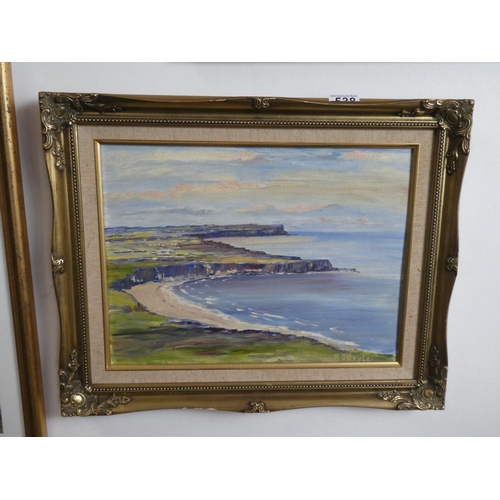 538 - A stunning framed oil painting of White Park Bay, signed by the Artist, R O'Boyle. (Measuring 52x42c... 