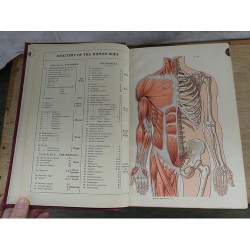 556 - A vintage copy of Lippincott's Quick Reference Book - Medicine & Surgery.