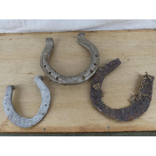 561 - A collection of 3 vintage horse shoes.