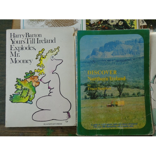 596 - A large collection of vintage books etc with local Irish interest.