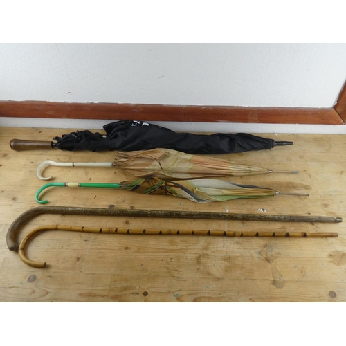 217 - A collection of walking sticks, umbrellas and more.