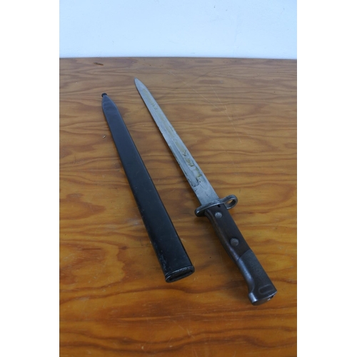 161 - A bayonet in scabbard, measuring 53cm long.