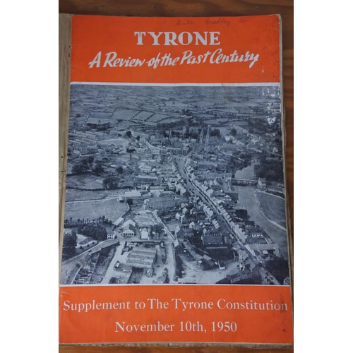 331 - Three interesting Irish reference books 'Ireland's Eye', 'A Topographical Dictionary - Counties Ferm... 