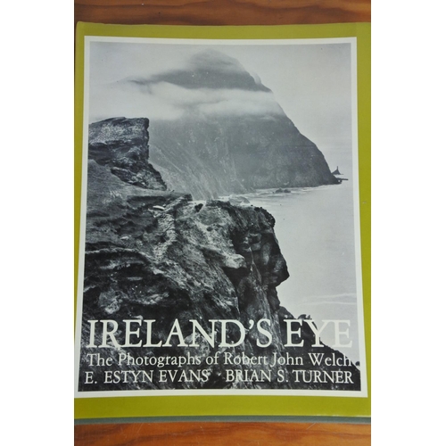 331 - Three interesting Irish reference books 'Ireland's Eye', 'A Topographical Dictionary - Counties Ferm... 