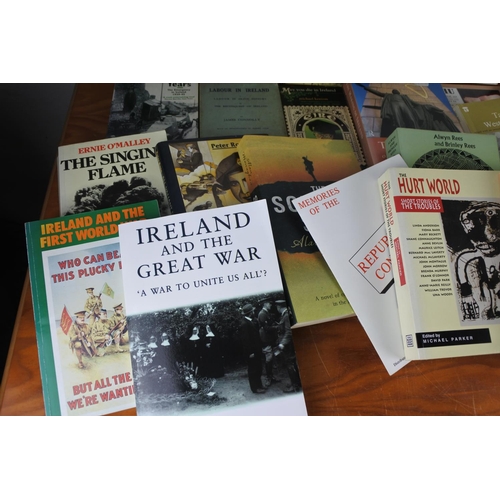 571 - A large collection of Irish related reference books.