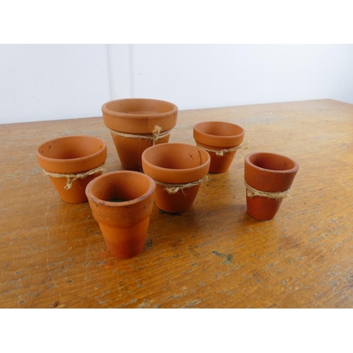 205 - A collection of small terracotta plant pots.