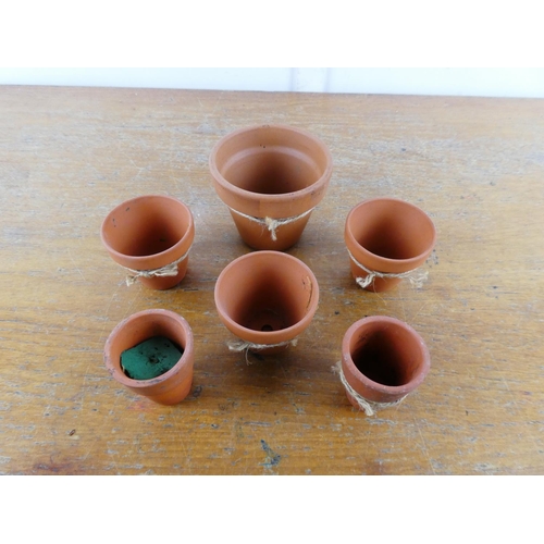 205 - A collection of small terracotta plant pots.